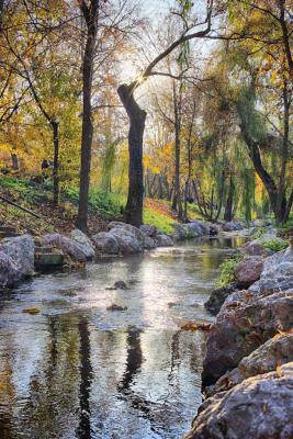 Прикрепленное изображение: IMG_4311-HDR.jpg